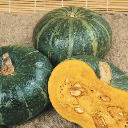 Courge d'hiver Burgess Buttercrop