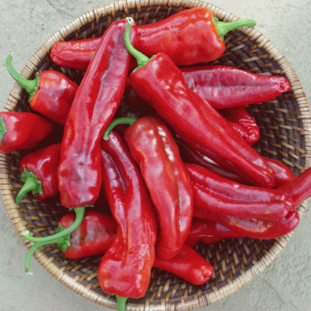 Petit piment rouge